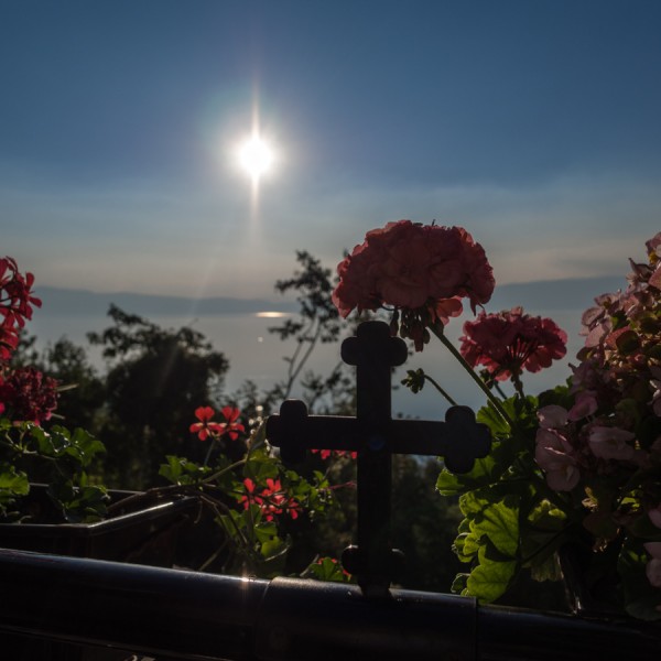 OLYMPUS DIGITAL CAMERA OLYMPUS DIGITAL CAMERA