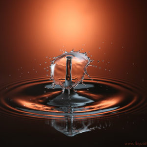 Copyright 2007 Liquid Sculpture – www.liquidsculpture.com Copyright 2007 Liquid Sculpture - www.liquidsculpture.com