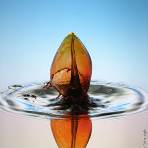 Copyright 2006 Liquid Sculpture – www.liquidsculpture.com Copyright 2006 Liquid Sculpture - www.liquidsculpture.com