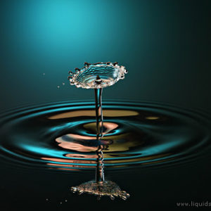 Copyright 2007 Liquid Sculpture – www.liquidsculpture.com Copyright 2007 Liquid Sculpture - www.liquidsculpture.com