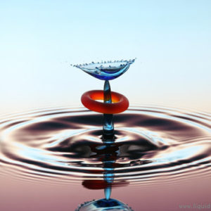 Copyright 2006 Liquid Sculpture – www.liquidsculpture.com Copyright 2006 Liquid Sculpture - www.liquidsculpture.com