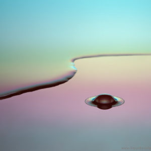 Copyright 2006 Liquid Sculpture – www.liquidsculpture.com Copyright 2006 Liquid Sculpture - www.liquidsculpture.com