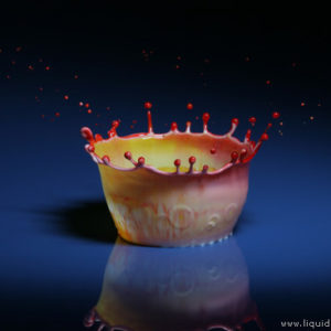 Copyright 2006 Liquid Sculpture – www.liquidsculpture.com Copyright 2006 Liquid Sculpture - www.liquidsculpture.com