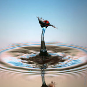 Copyright 2006 Liquid Sculpture – www.liquidsculpture.com Copyright 2006 Liquid Sculpture - www.liquidsculpture.com