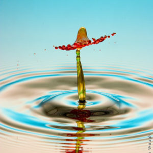 Copyright 2006 Liquid Sculpture – www.liquidsculpture.com Copyright 2006 Liquid Sculpture - www.liquidsculpture.com