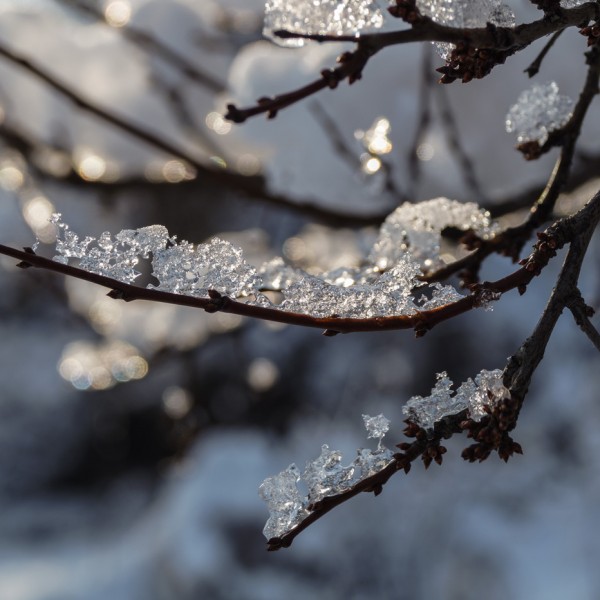 Sony_A58__23