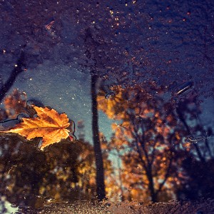 autumn-reflections autumn-reflections