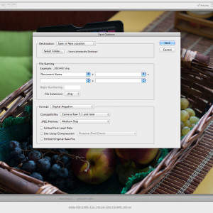 Конвертирайте в DNG