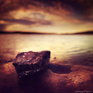 tidal_pool tidal_pool