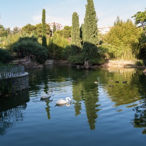 Pentax_12_24_020 Pentax_12_24_020