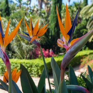 Pentax_12_24_034 Pentax_12_24_034