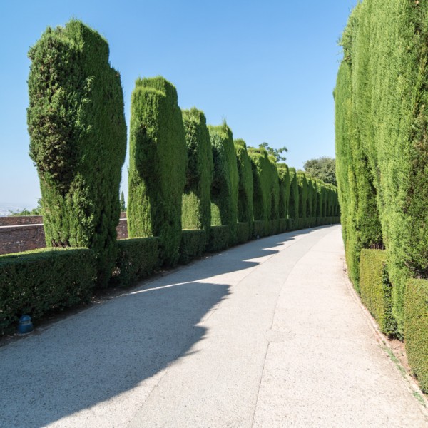 Pentax_12_24_050 Pentax_12_24_050