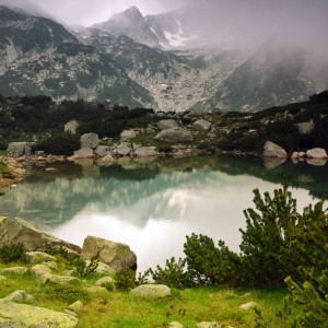 ANTONI - "Отражение"