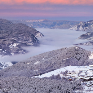 dority - "На разсъмване"