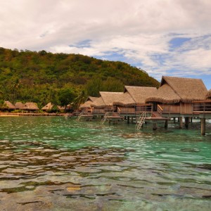 SeaGlow - "Polinesian Idily"