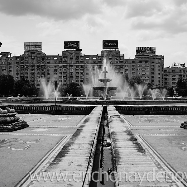 _DSC8851 _DSC8851