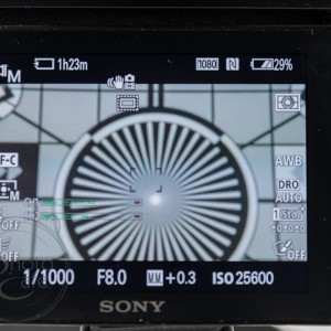 Sony A7 видео