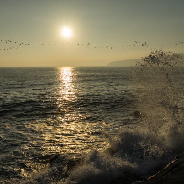 Sony_А7_39
