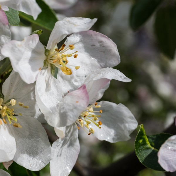 Canon_6D_45