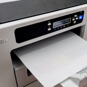 Проверка на дюзите