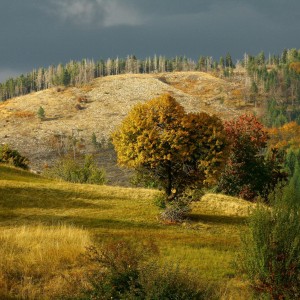 ТодорТрамбабов