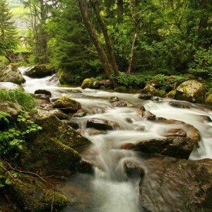 ТодорТрамбабов