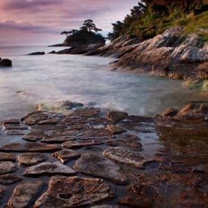 ТодорТрамбабов