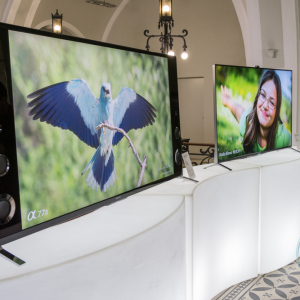 SonyDay_030 SonyDay_030