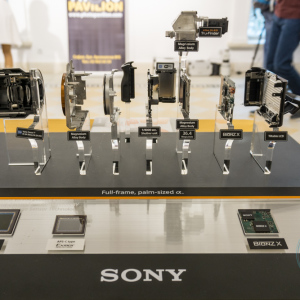 SonyDay_043 SonyDay_043