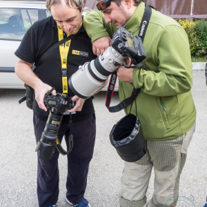 Forum Fest_115 Forum Fest_115