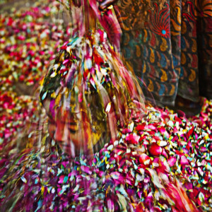 A Child Gets Shower Of Flowers On The Day of Holi, The Hindu Festival Of Colours, Celebrated By Widows, In Meera Sehbhagini Mahila Ashray Sadan In Vrindavan
