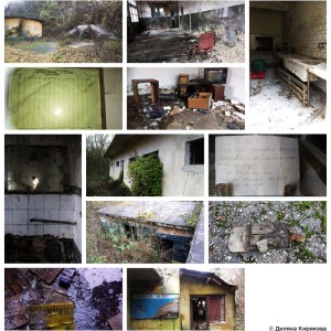 181_Diliana Kiriakova