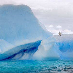 Reise Falkland, Südgeorgien, Antarktis 2010/2011