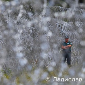 P-2014-267-003_ladislav Tsvetkov