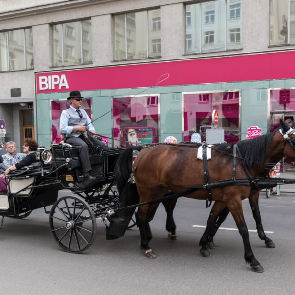 vienna_cloud_012