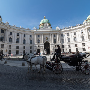 vienna_sun_057