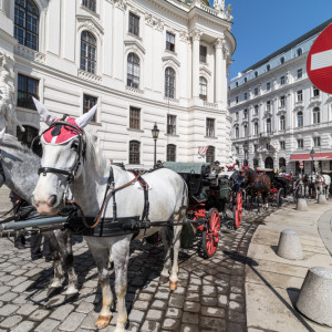 vienna_sun_059