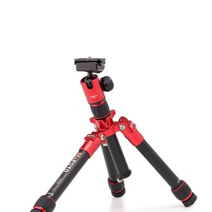 A0320Q00R_LegPositions