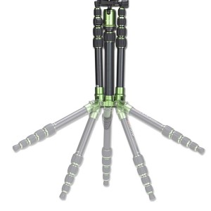 Leg_Angle_Animation_Test