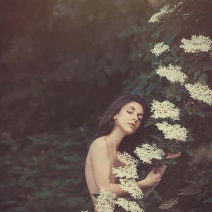 1432586899_DSC_1377FotoForum2