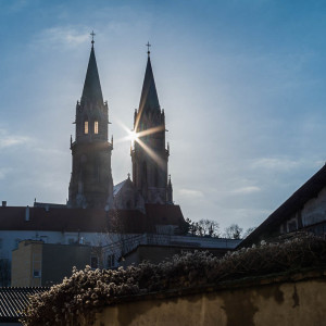 Vienna 35mm Vienna 35mm