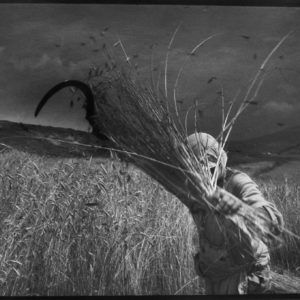 10_Yordanov_Albania 10_Yordanov_Albania