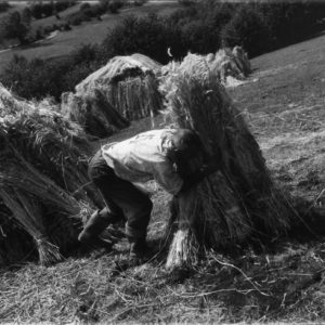 13_Yordanov_Albania 13_Yordanov_Albania