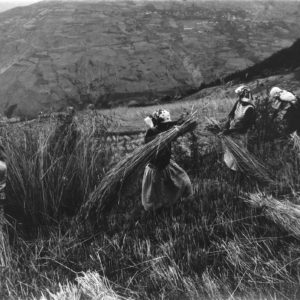 16_Yordanov_Albania 16_Yordanov_Albania