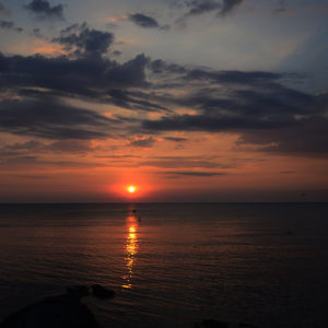 July_Morning (1) July_Morning (1)