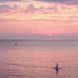 July_Morning (13) July_Morning (13)