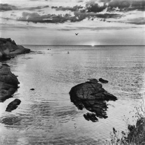 July_Morning (14) July_Morning (14)