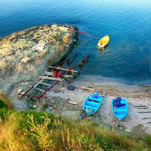 July_Morning (15) July_Morning (15)