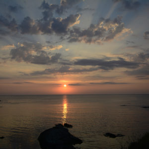 July_Morning (3) July_Morning (3)