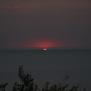 July_Morning (5) July_Morning (5)